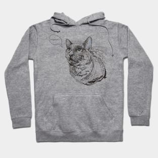 Meow Hoodie